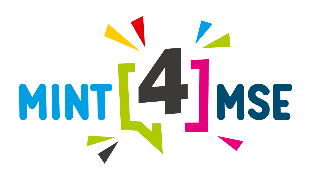 Logo MINT4MSE